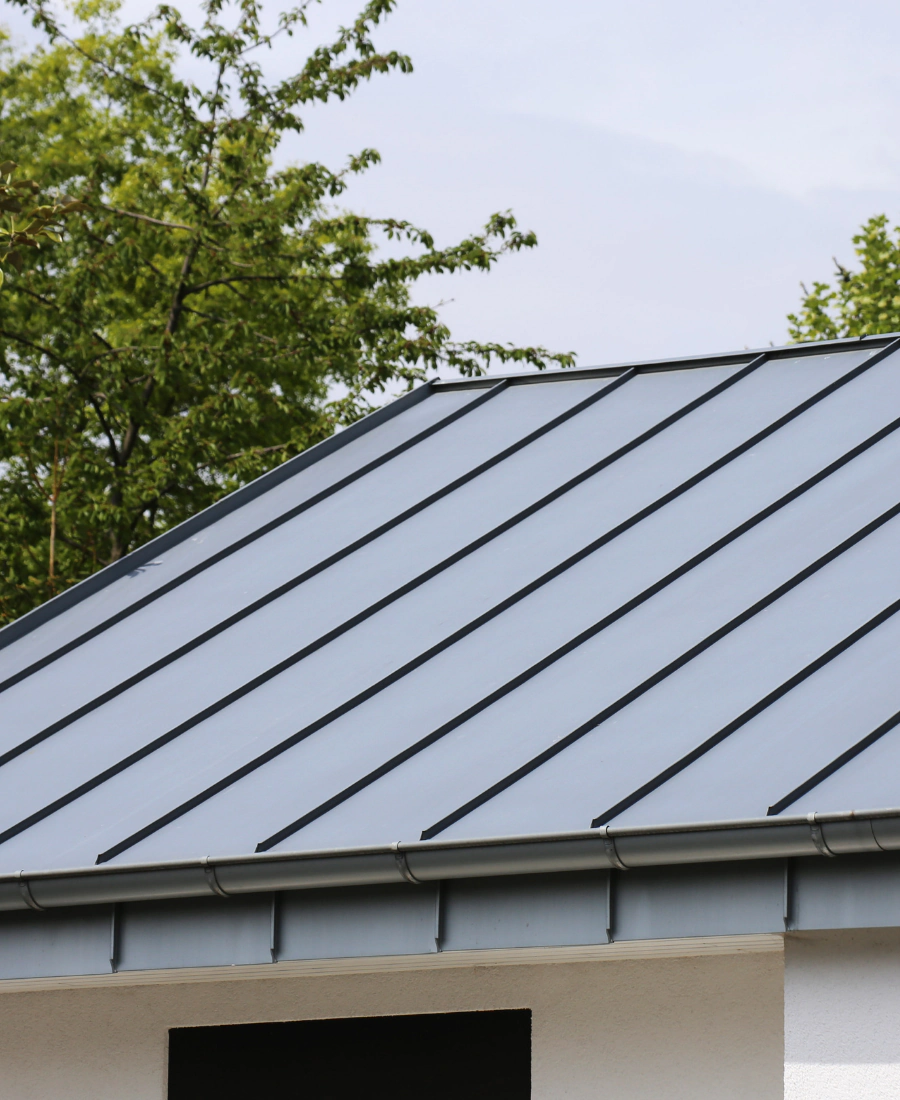 roof painting service